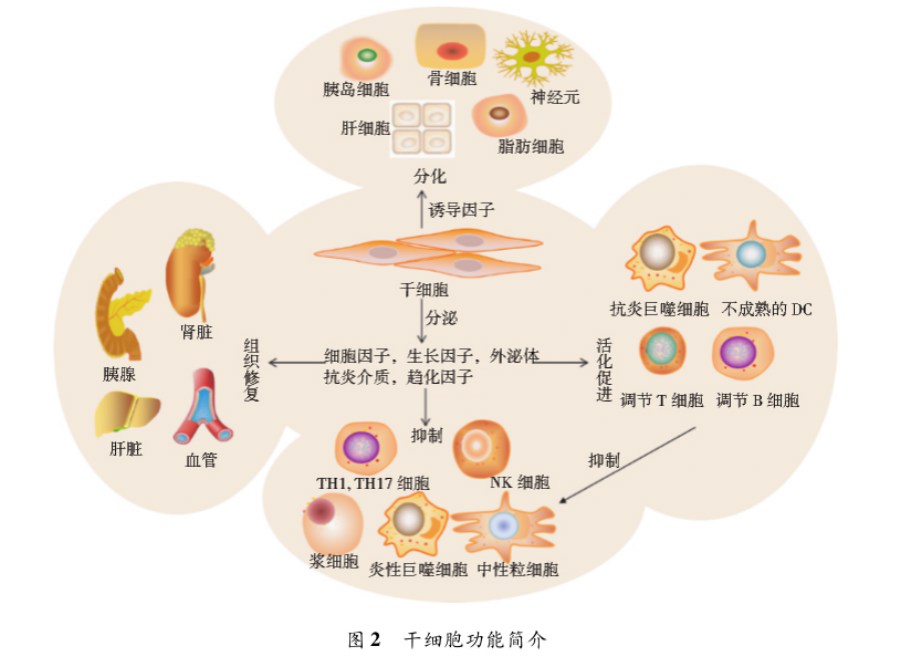 图片2_900x656.png